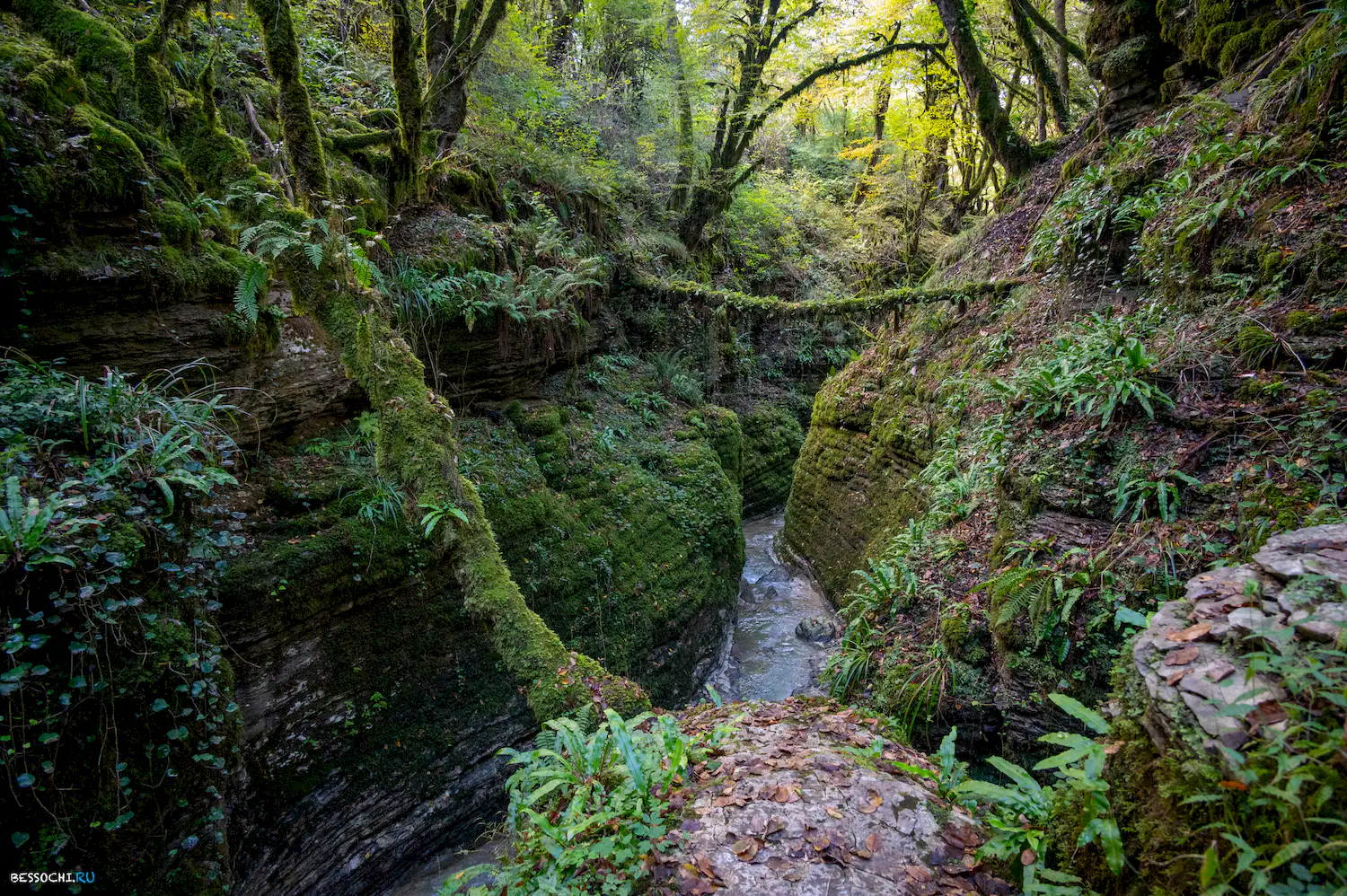Сказочный каньон