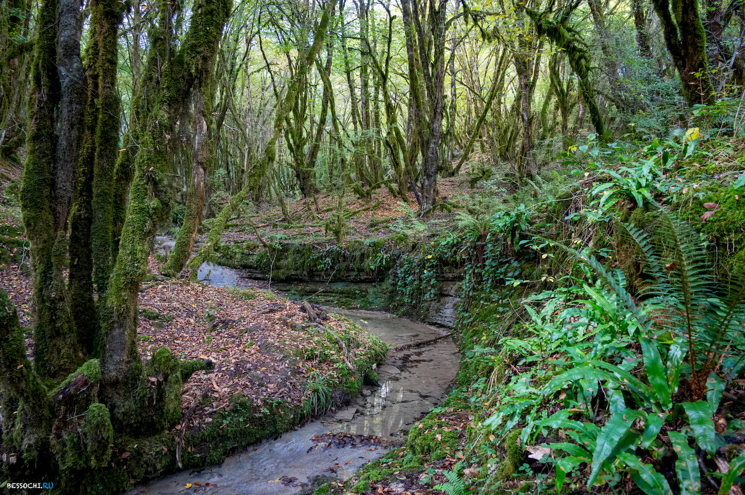 Сказочный каньон
