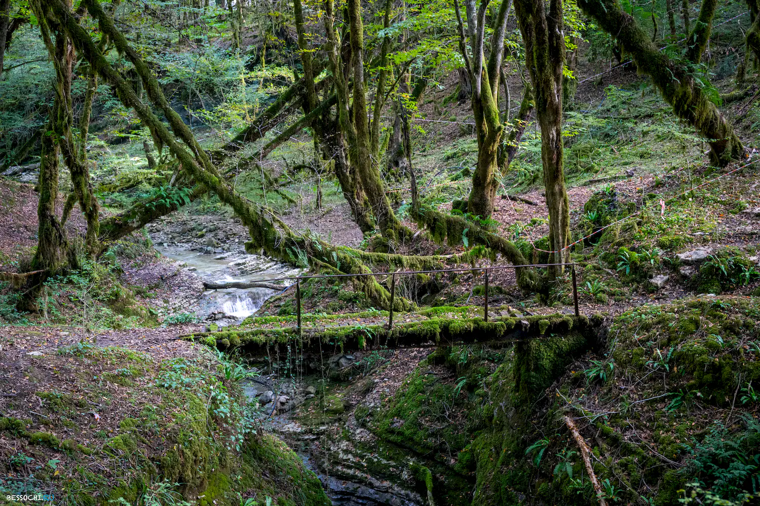 Сказочный каньон