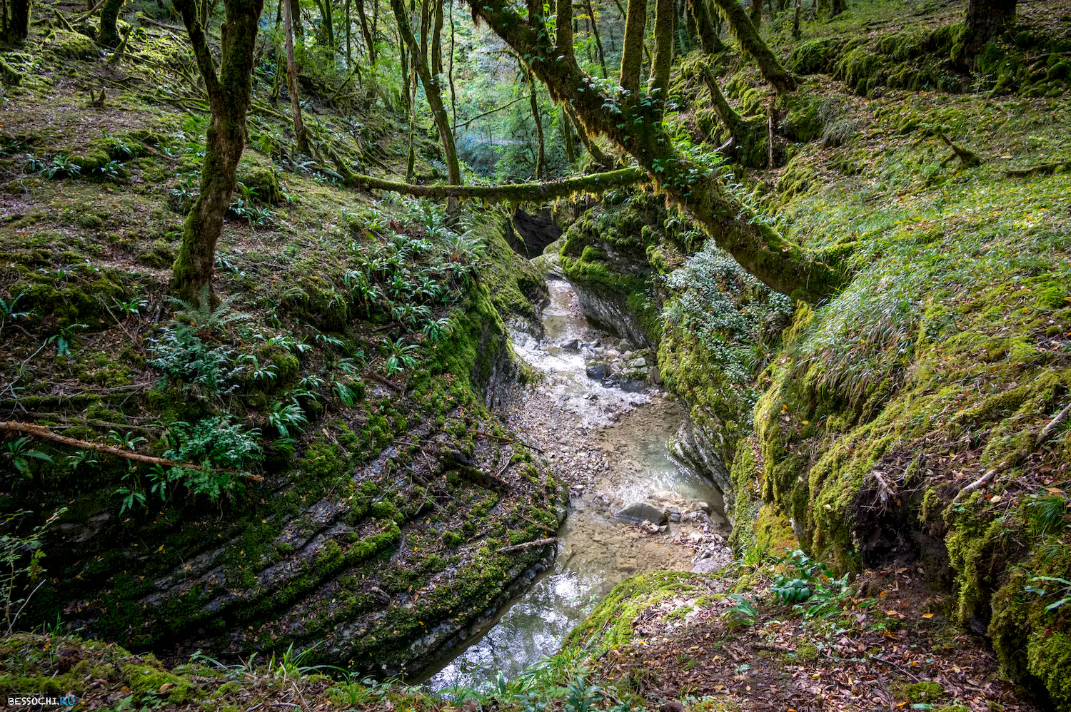 Сказочный каньон