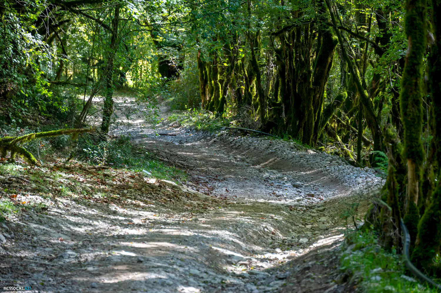 Ущелье Мамонта