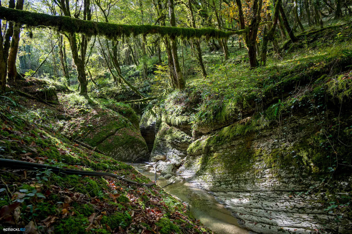 Ущелье Мамонта