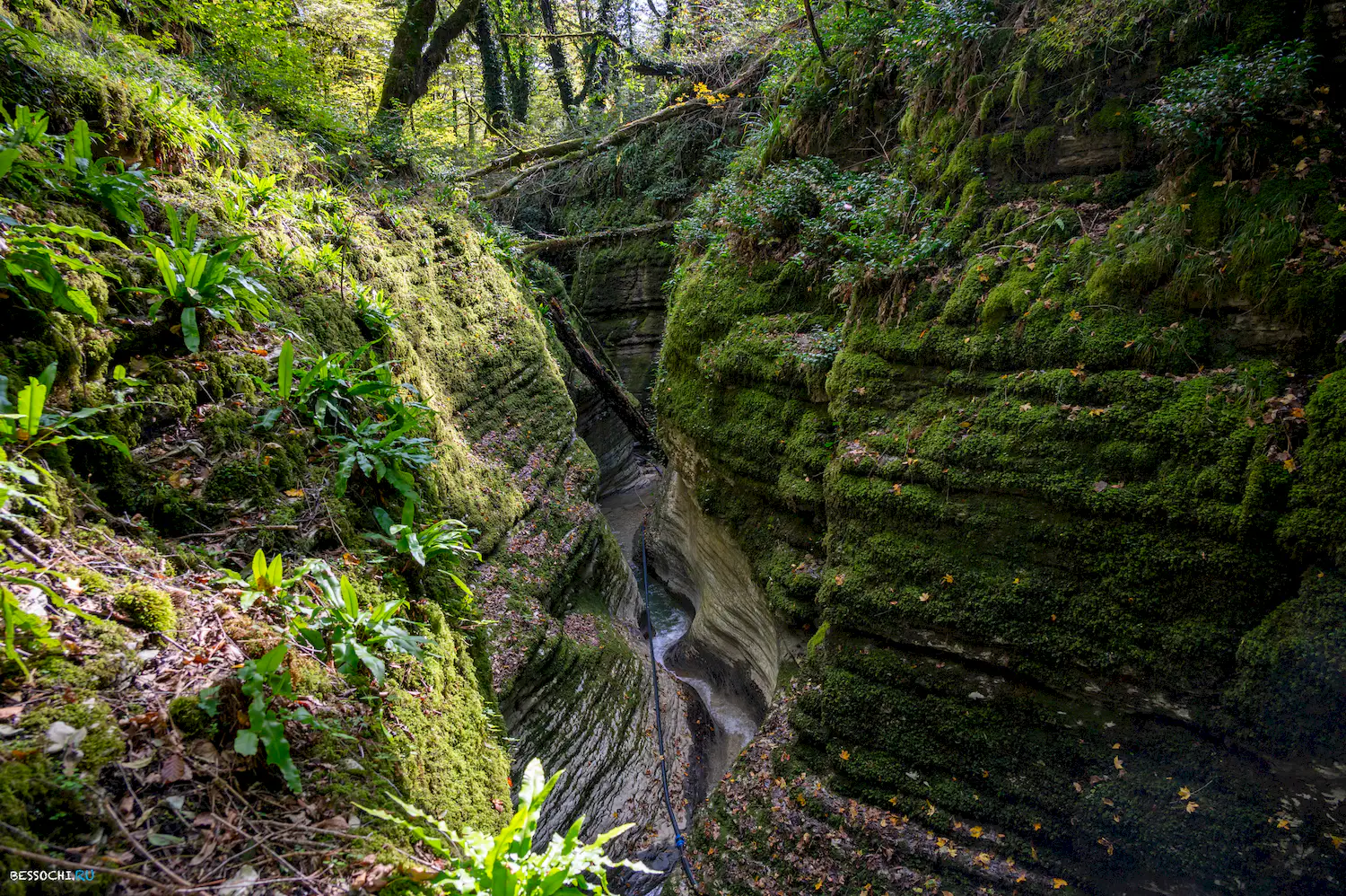 Ущелье Мамонта