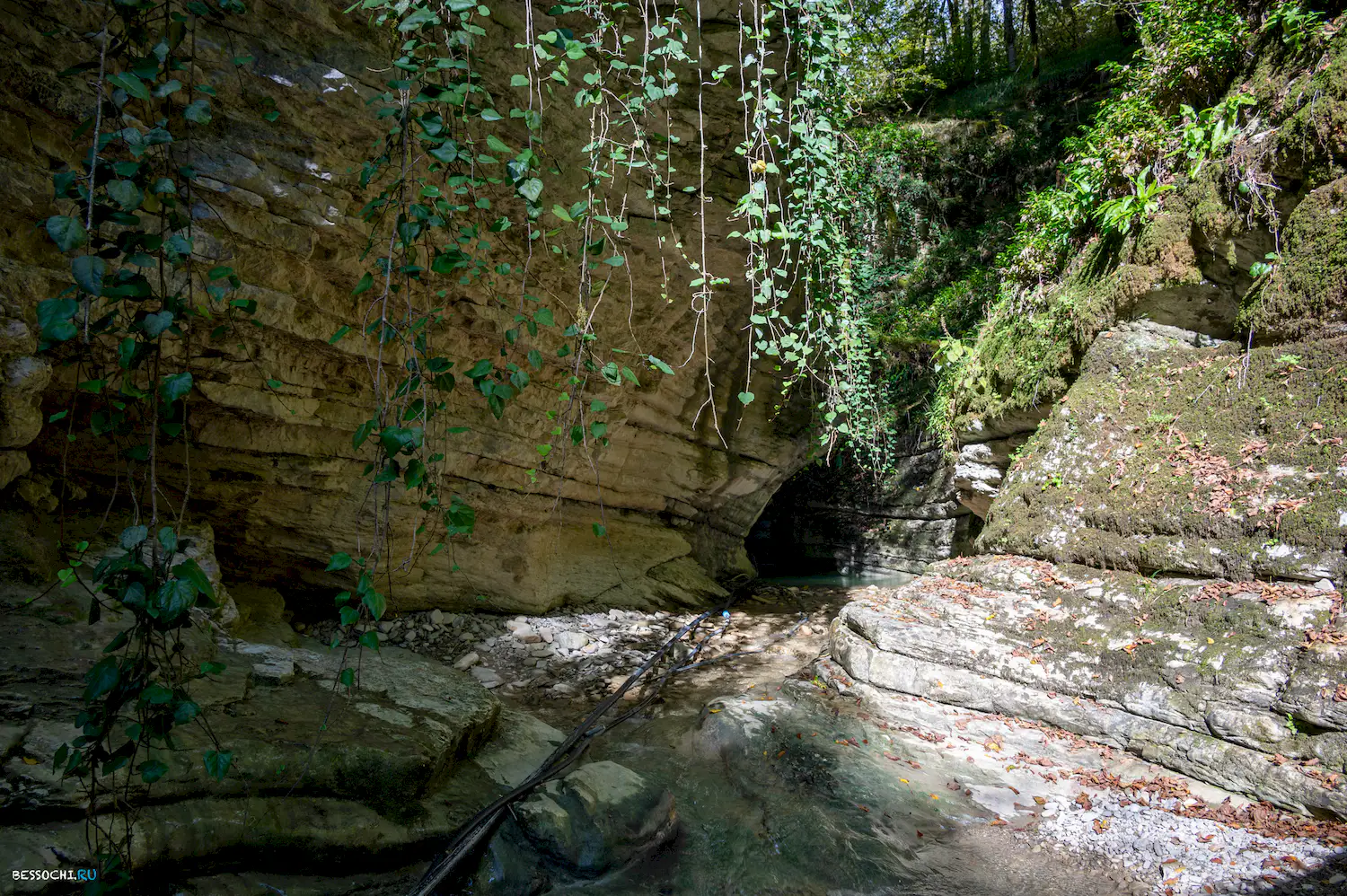 Ущелье Мамонта