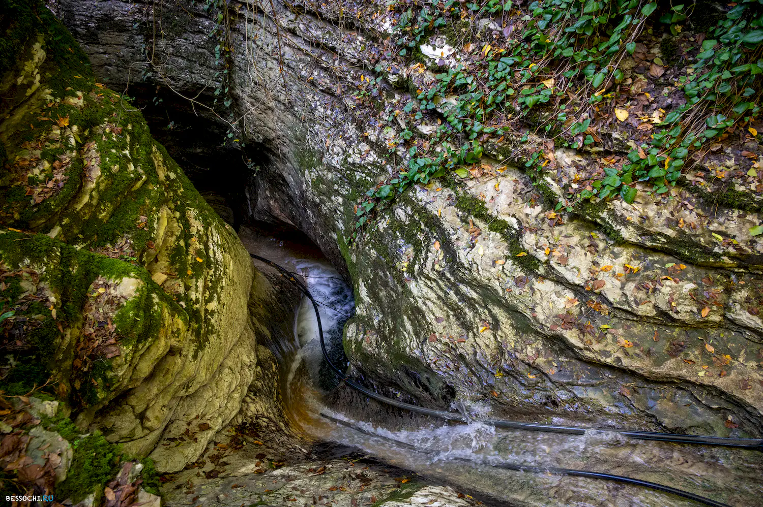 ущелье Мамонта