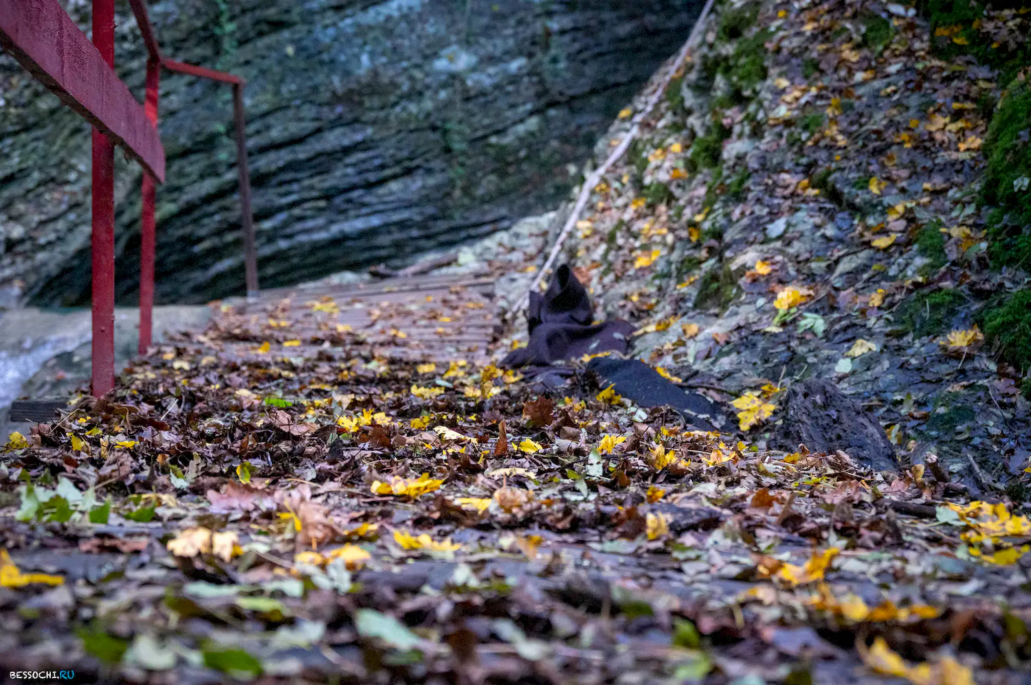 ущелье Мамонта