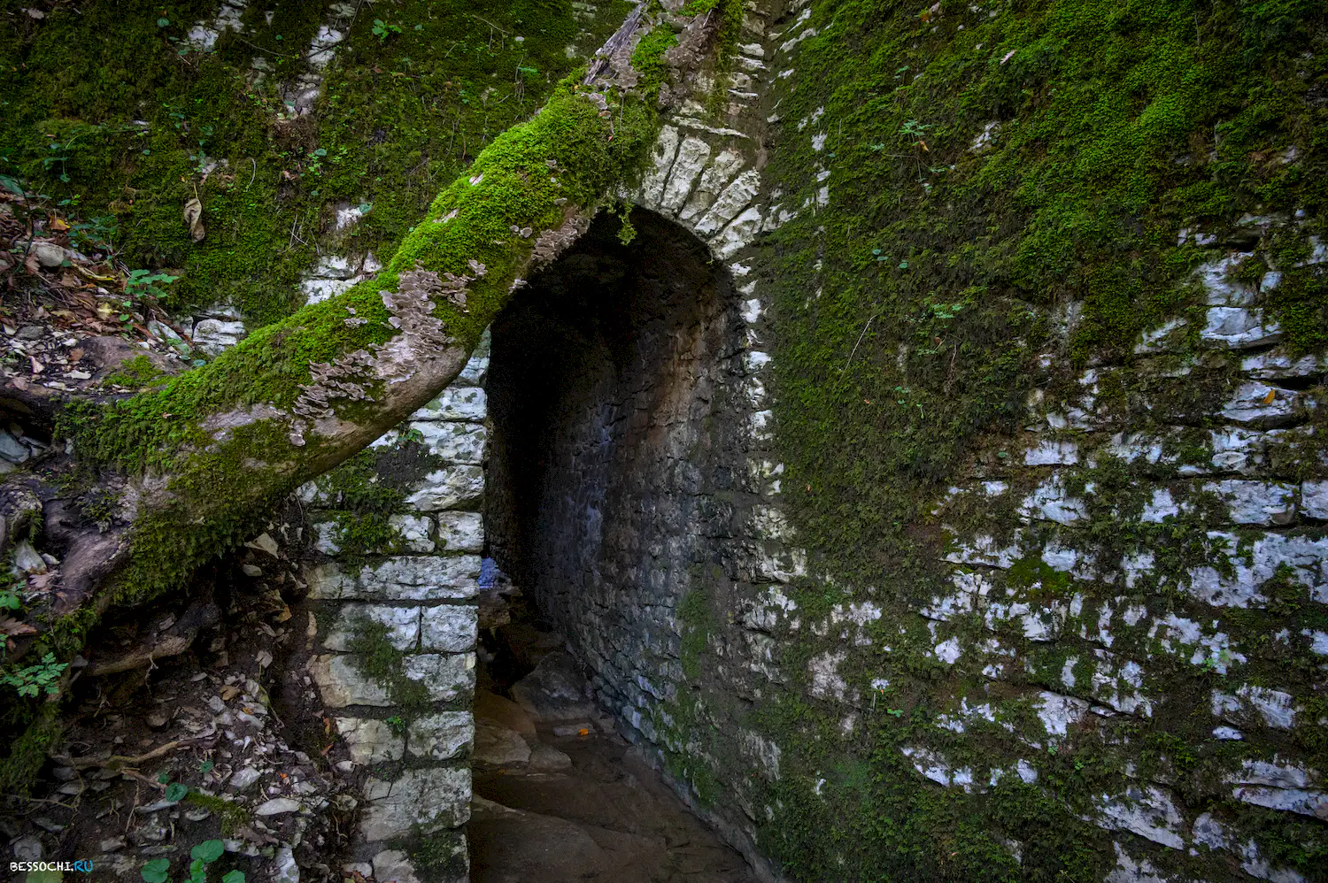 Царский мост