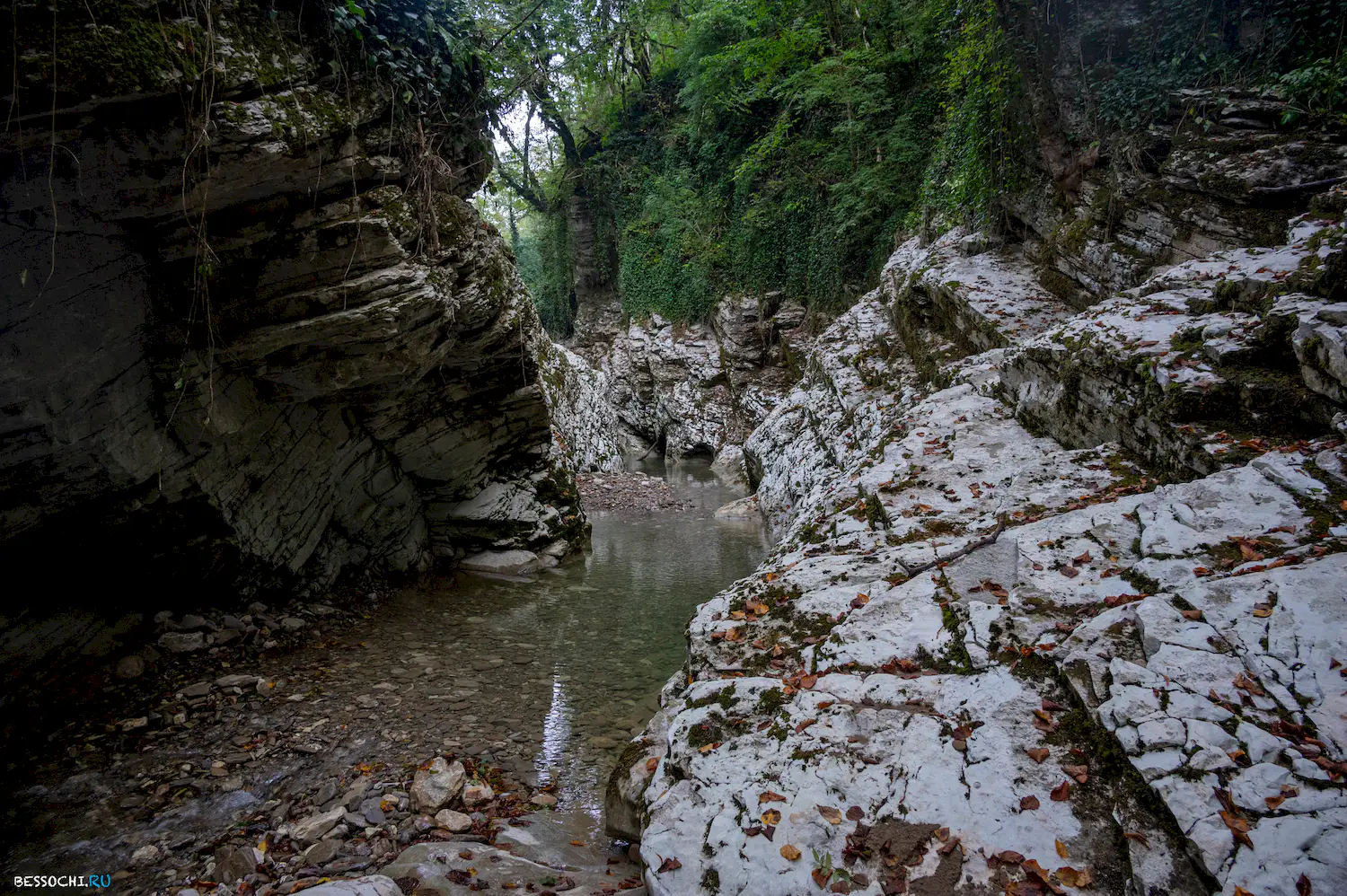 Каньон Кудепста