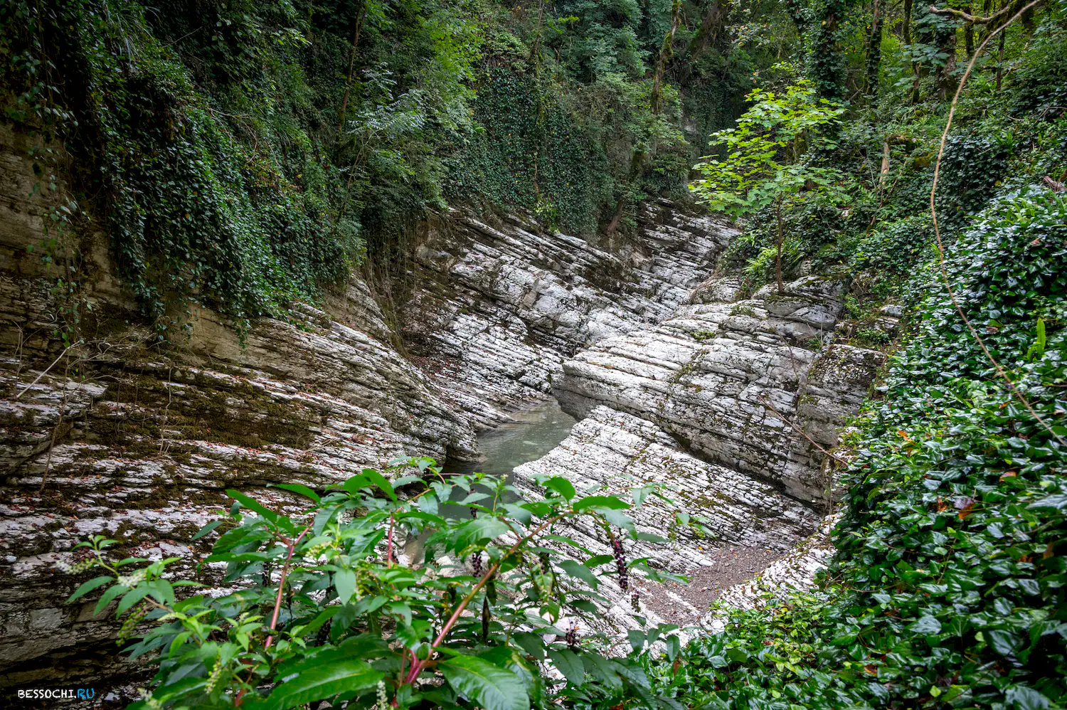 Каньон Кудепста