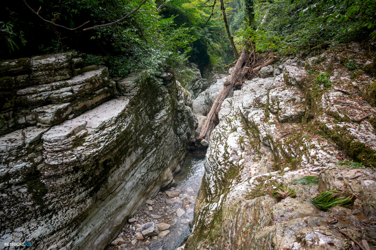 Каньон Кудепста