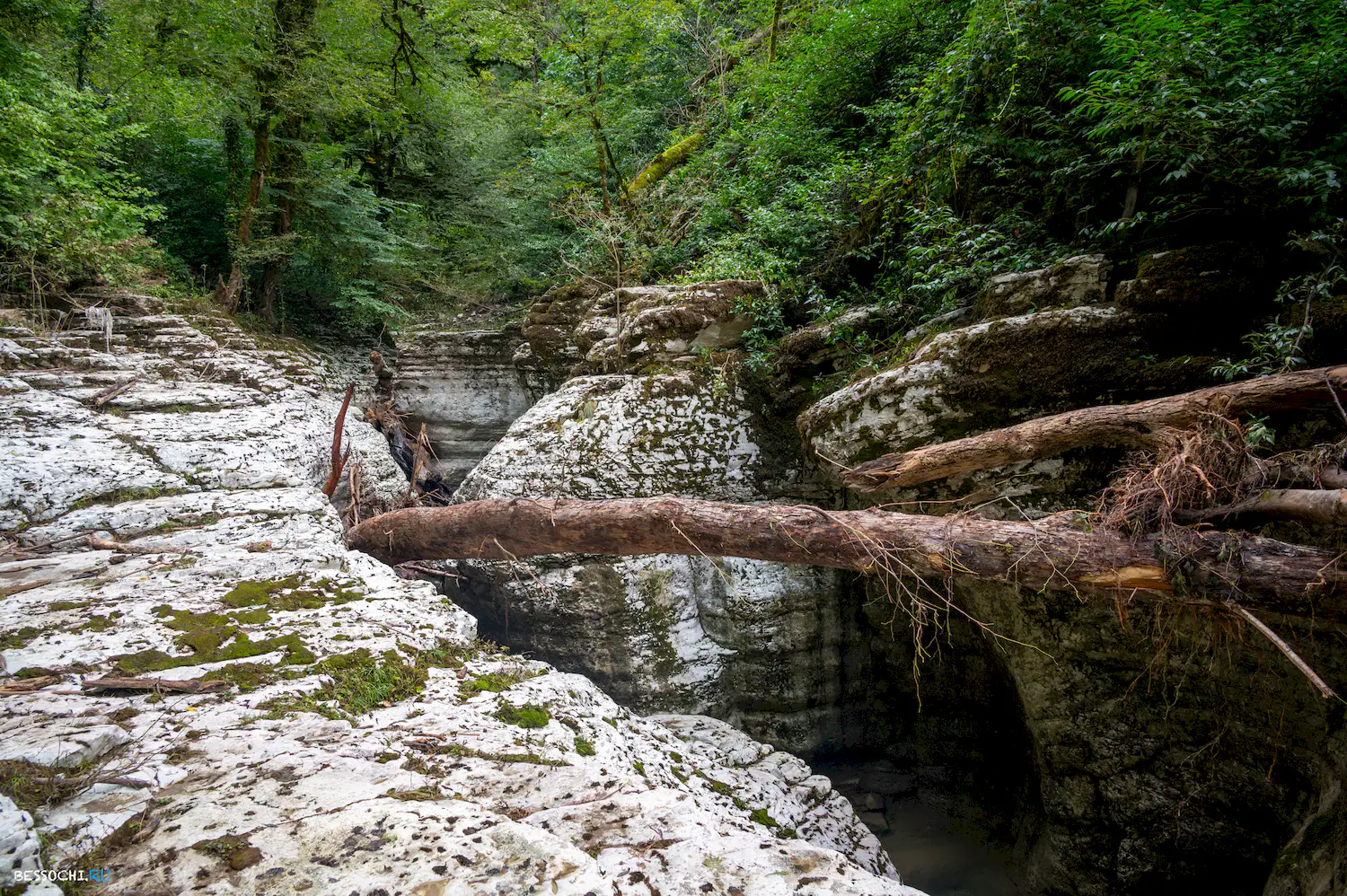 Каньон Кудепста