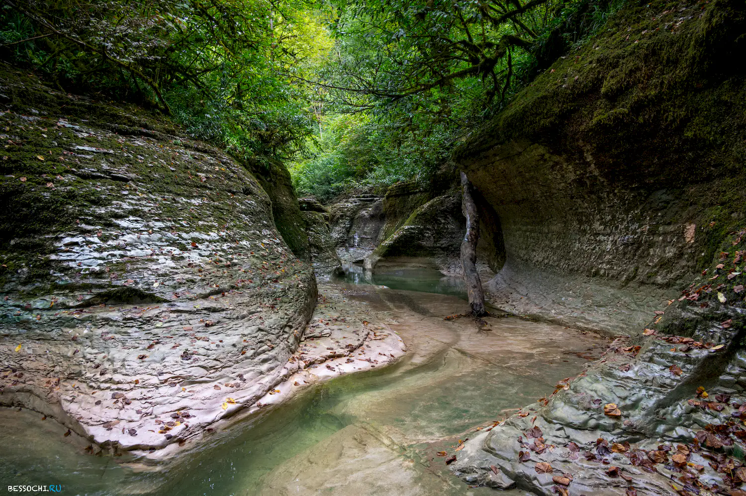 Каньон Кудепста