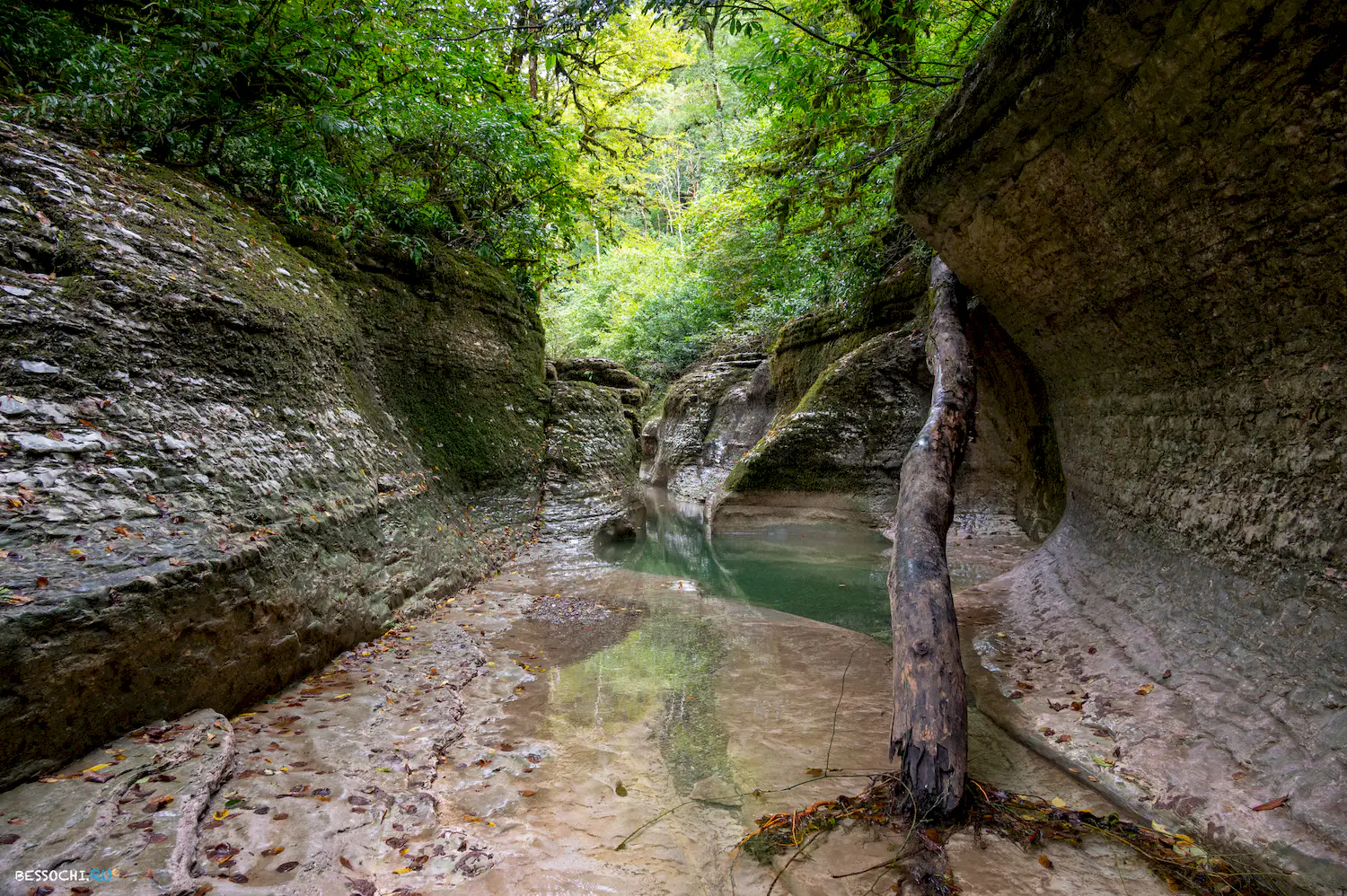 Каньон Кудепста