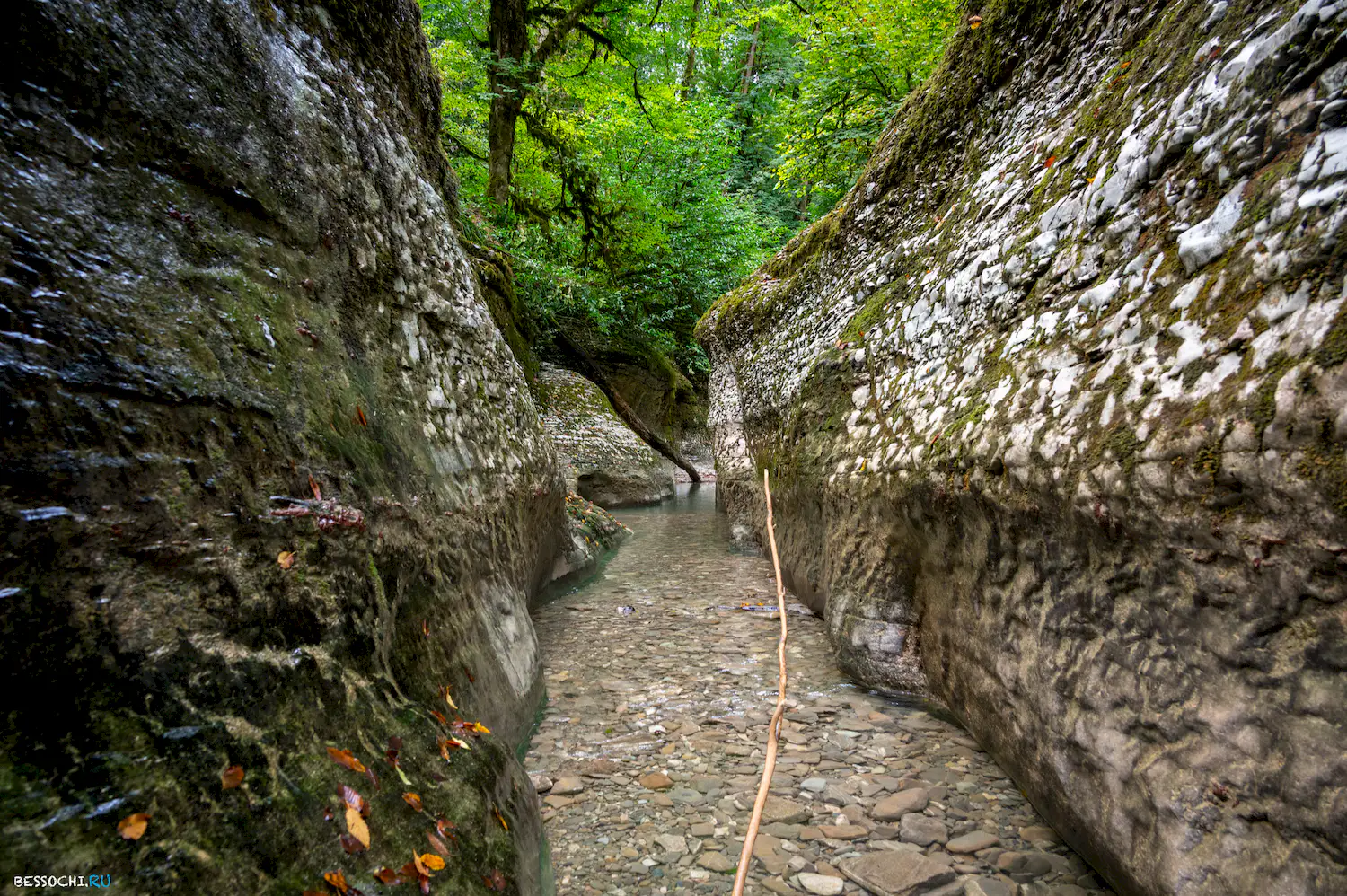 Каньон Кудепста