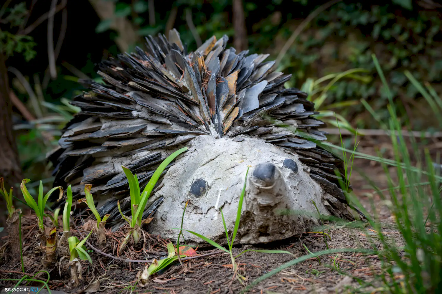 Весна в Сочи