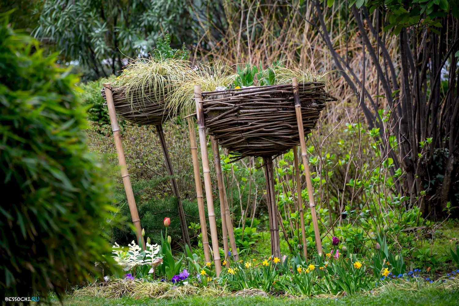 Весна в Сочи