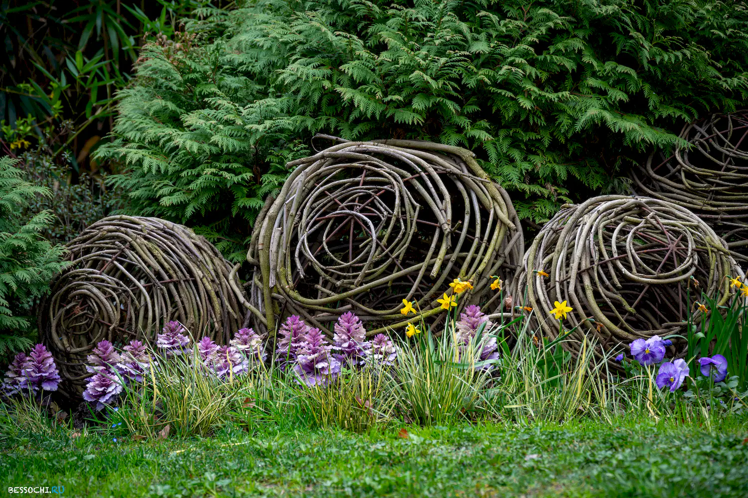 Весна в Сочи