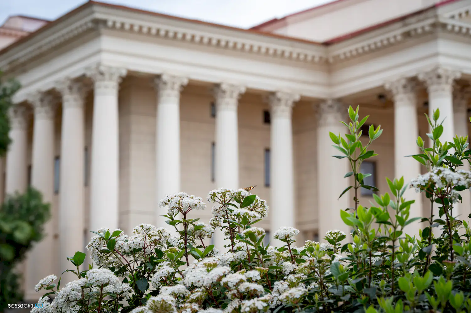 Весна в Сочи