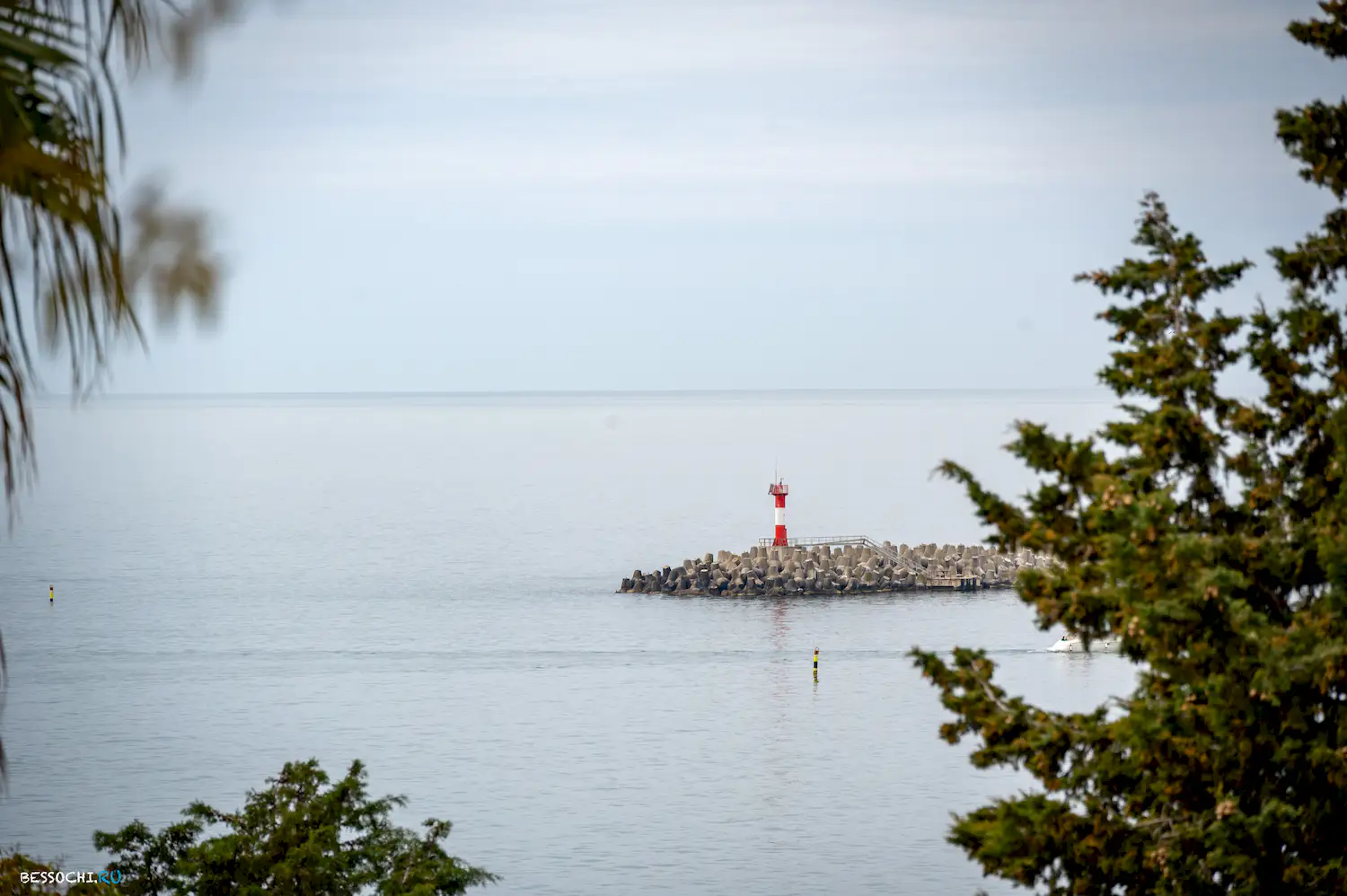 Весна в Сочи