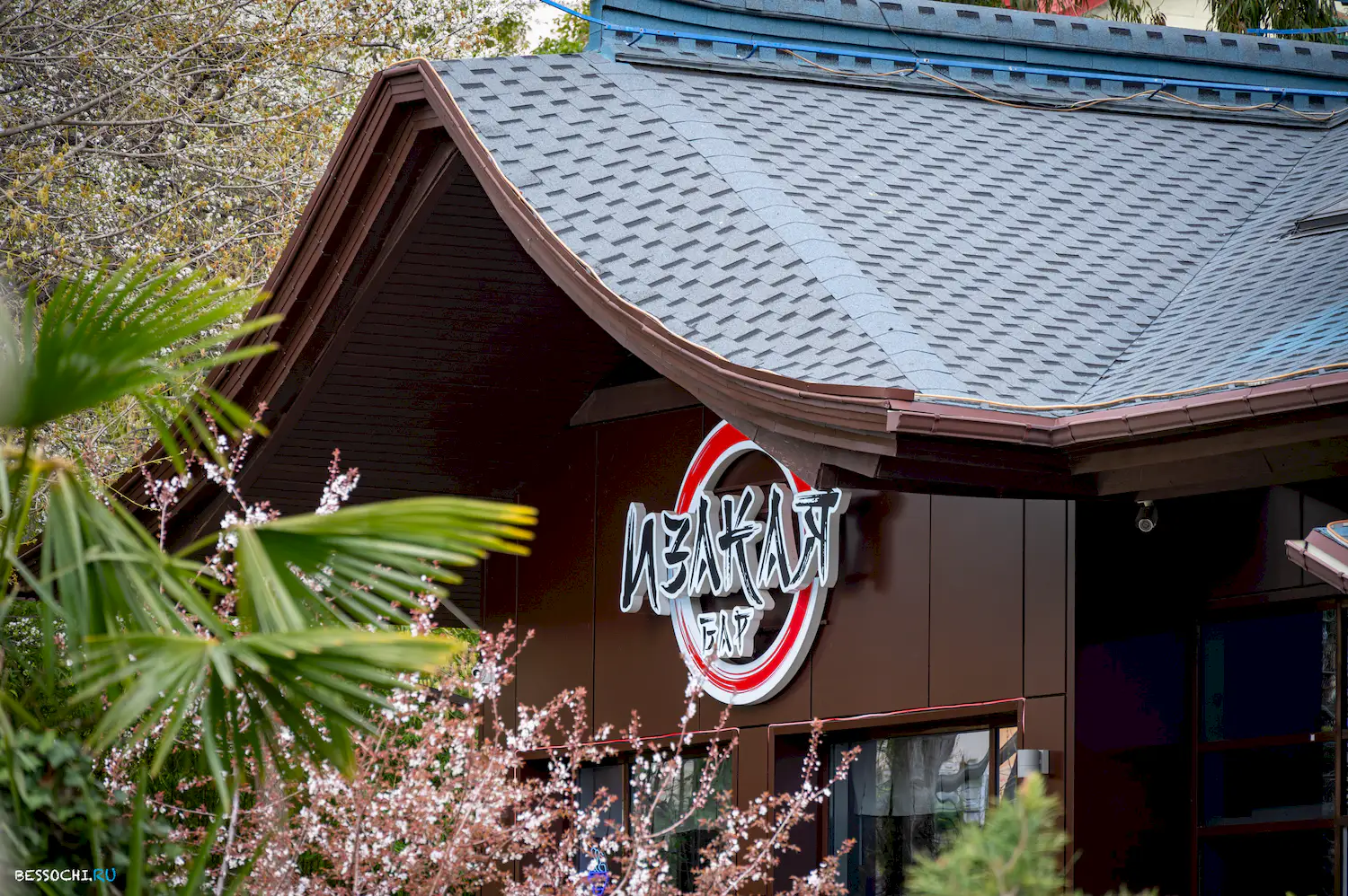 Весна в Сочи