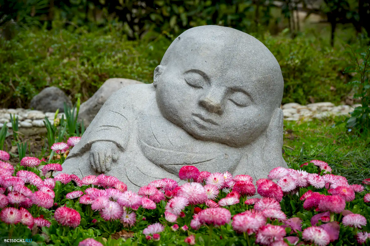 Весна в Сочи