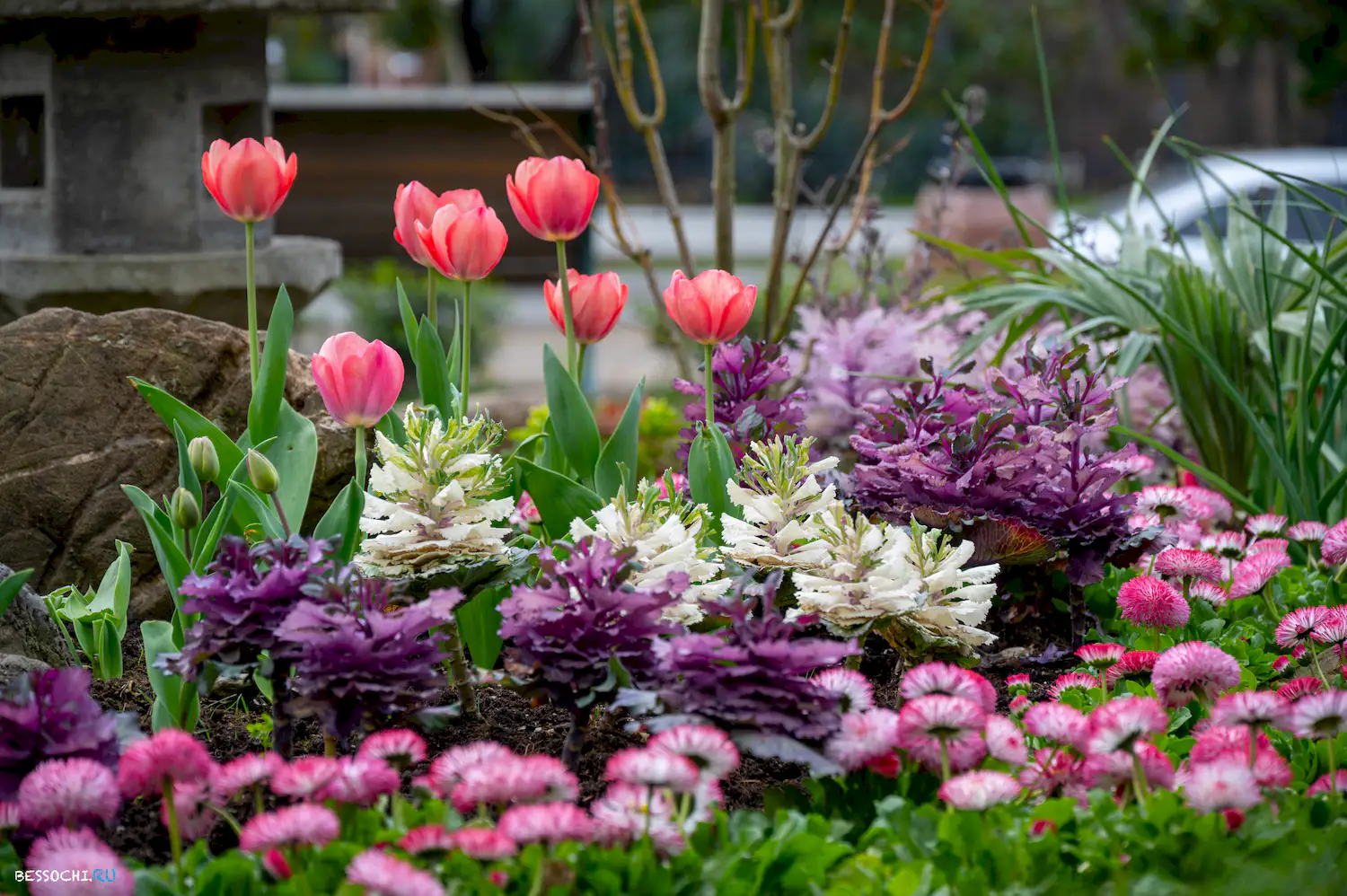 Весна в Сочи