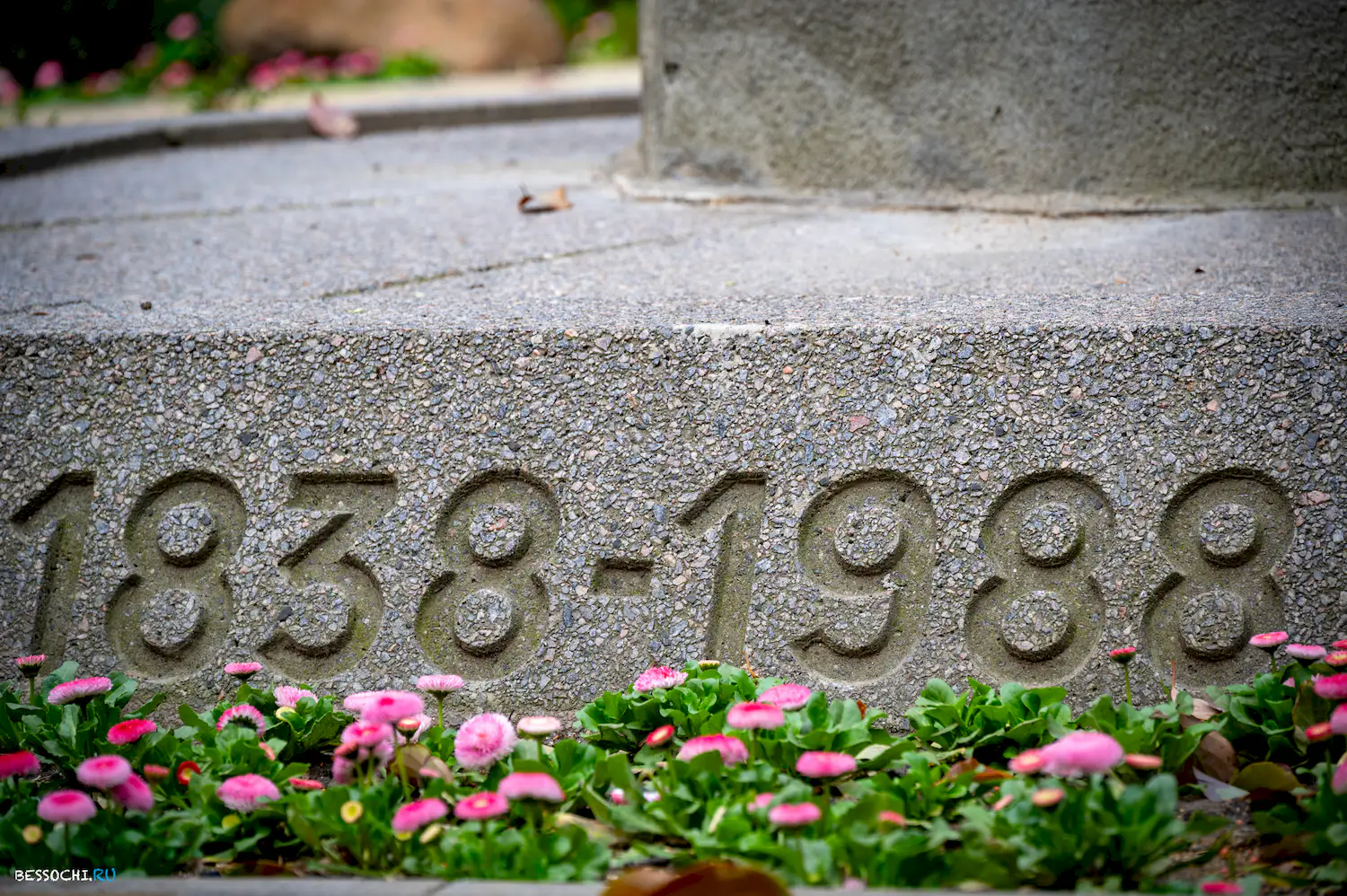 Весна в Сочи