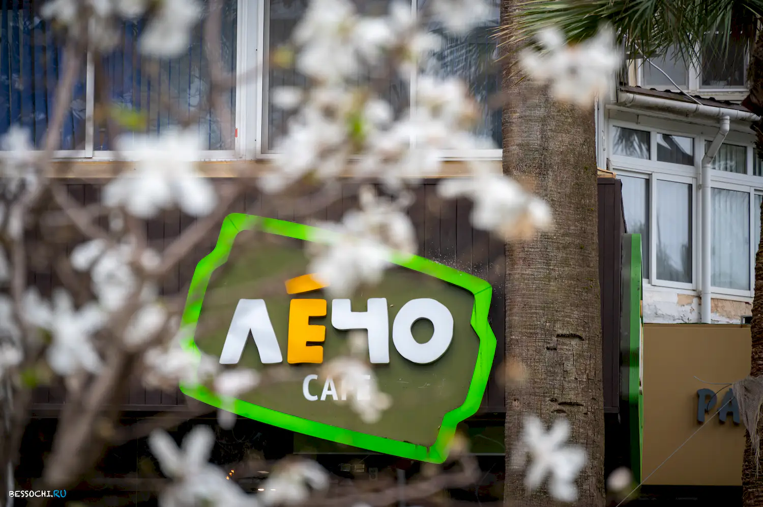 Весна в Сочи