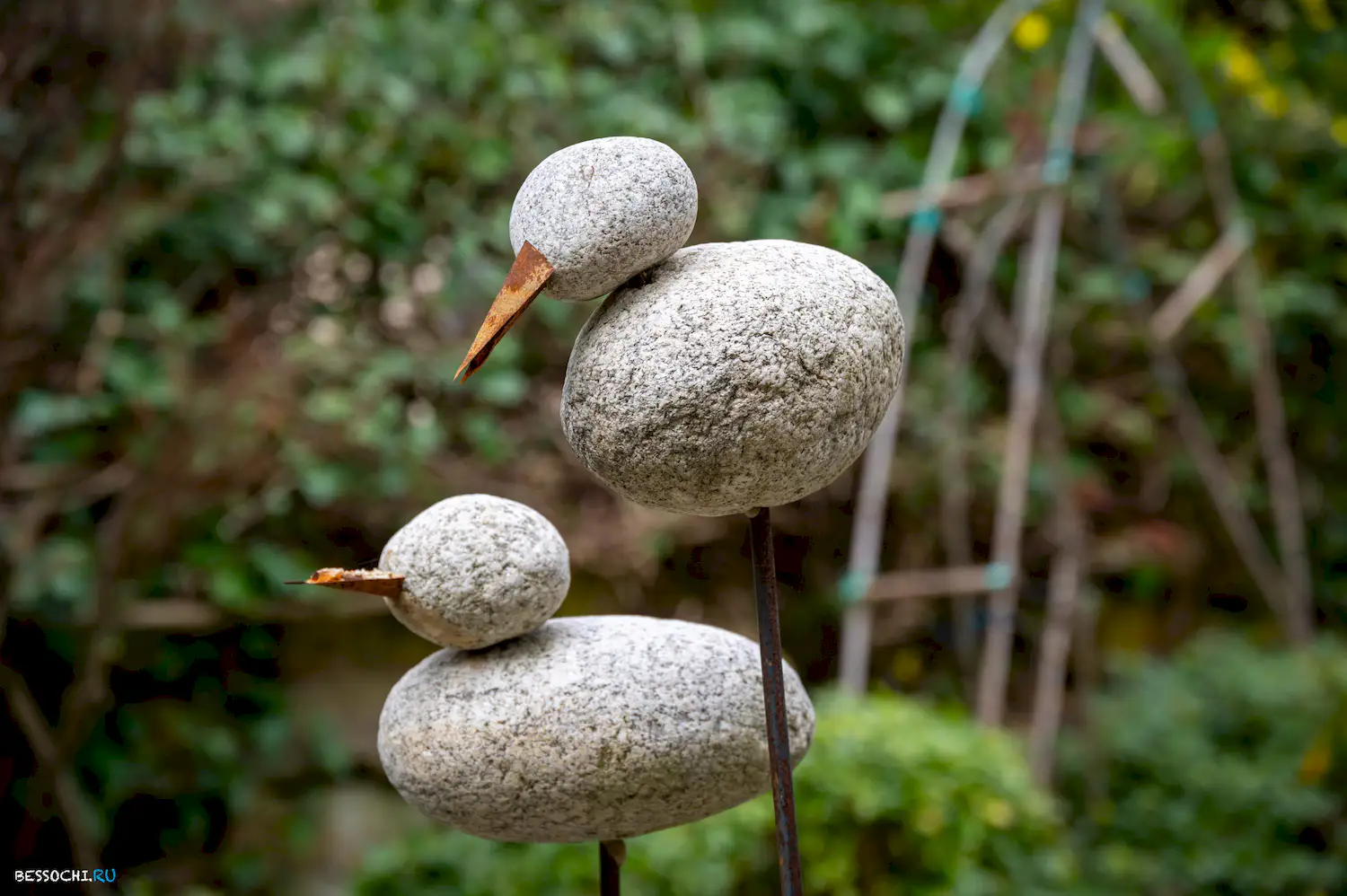 Весна в Сочи