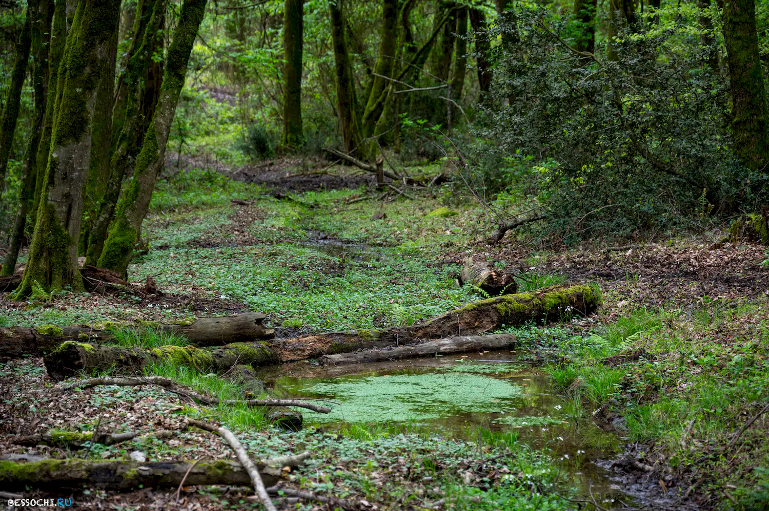 река Кудепста
