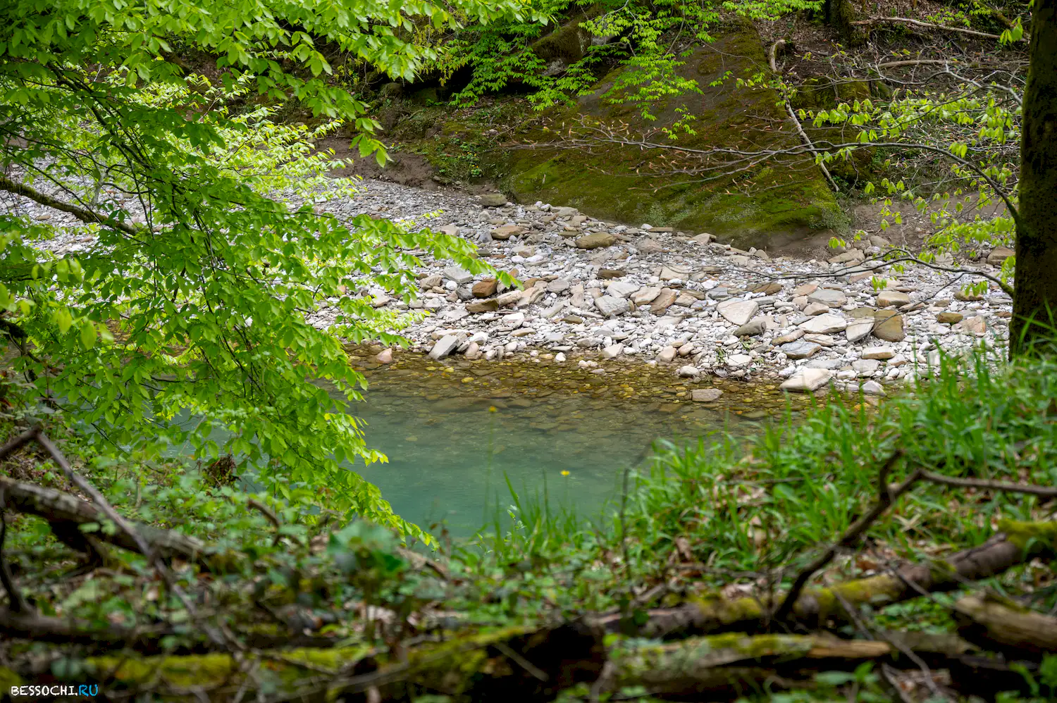 река Кудепста