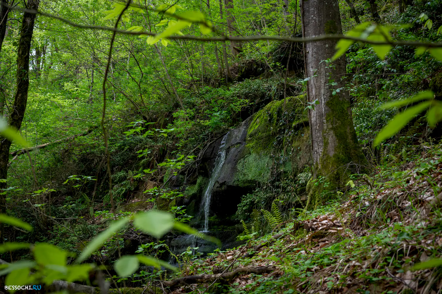 река Кудепста