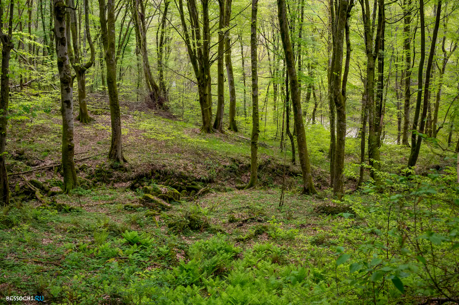 река Кудепста