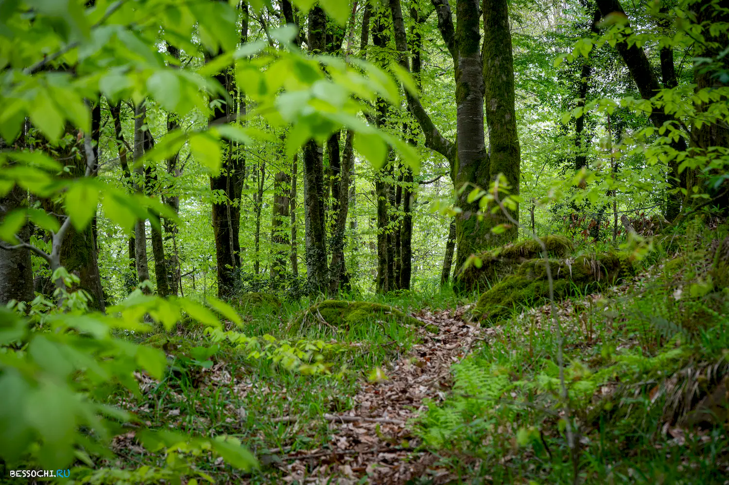 река Кудепста