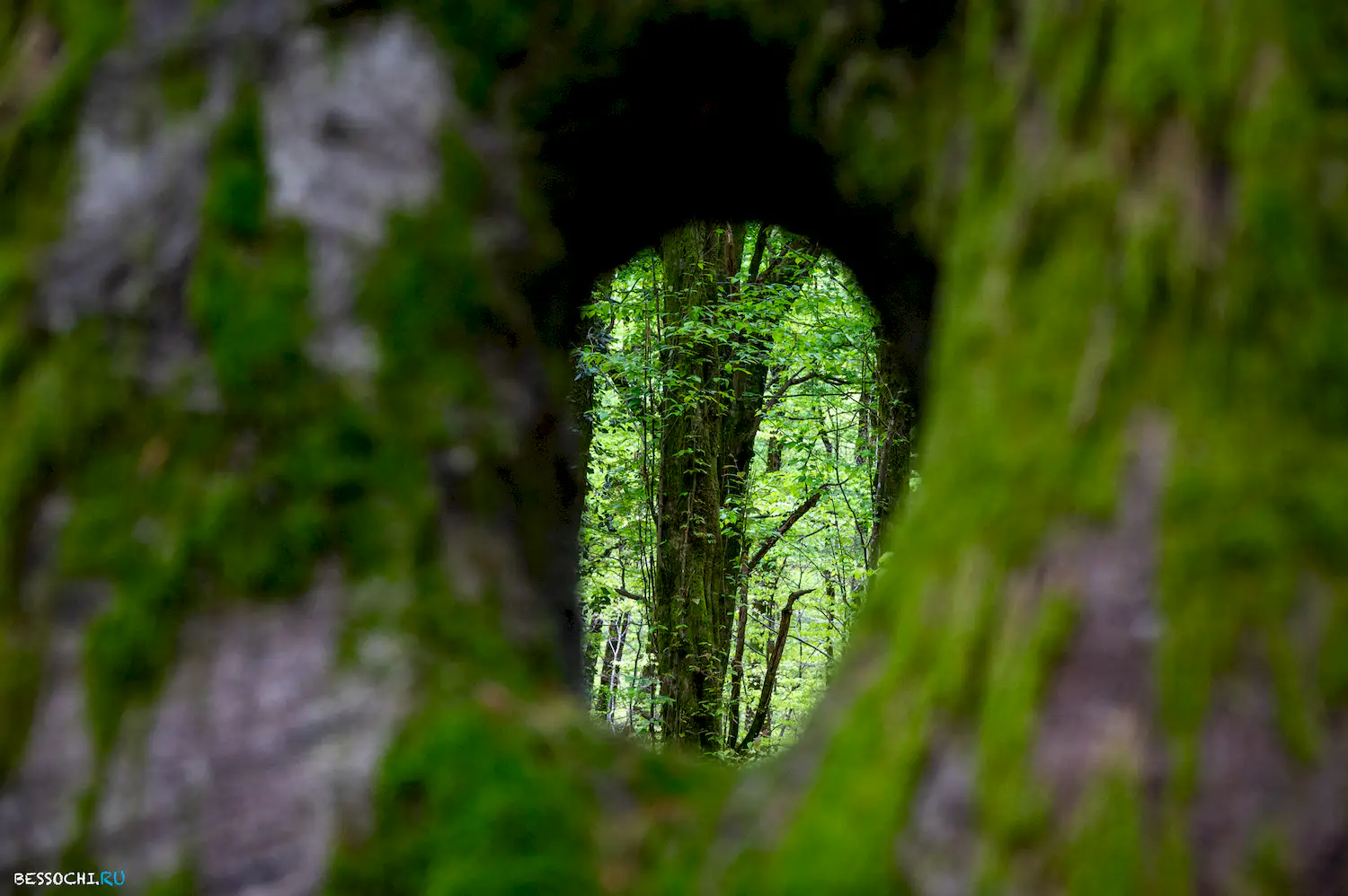 река Кудепста