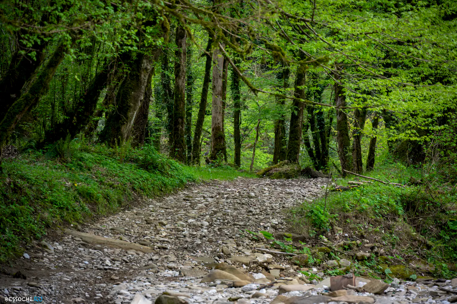 река Кудепста