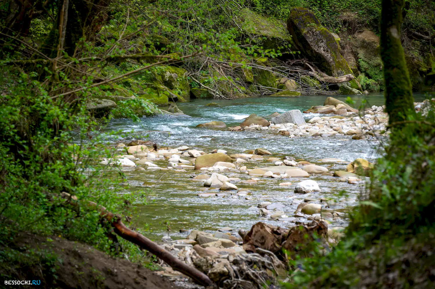 река Кудепста