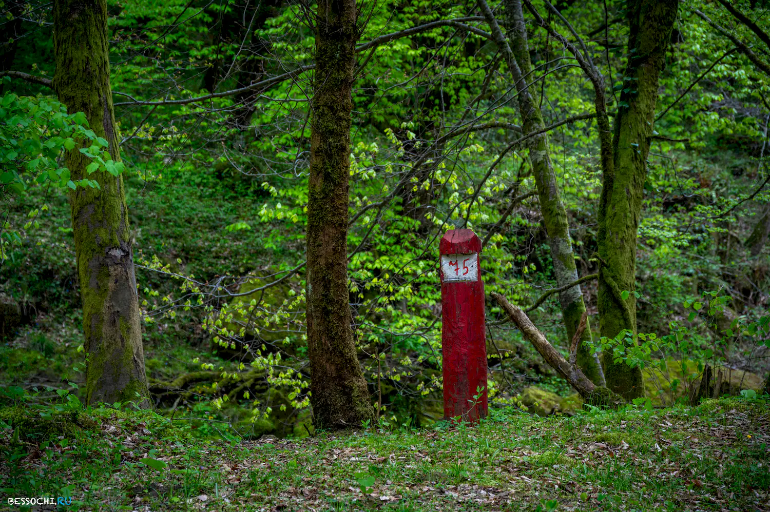 река Кудепста