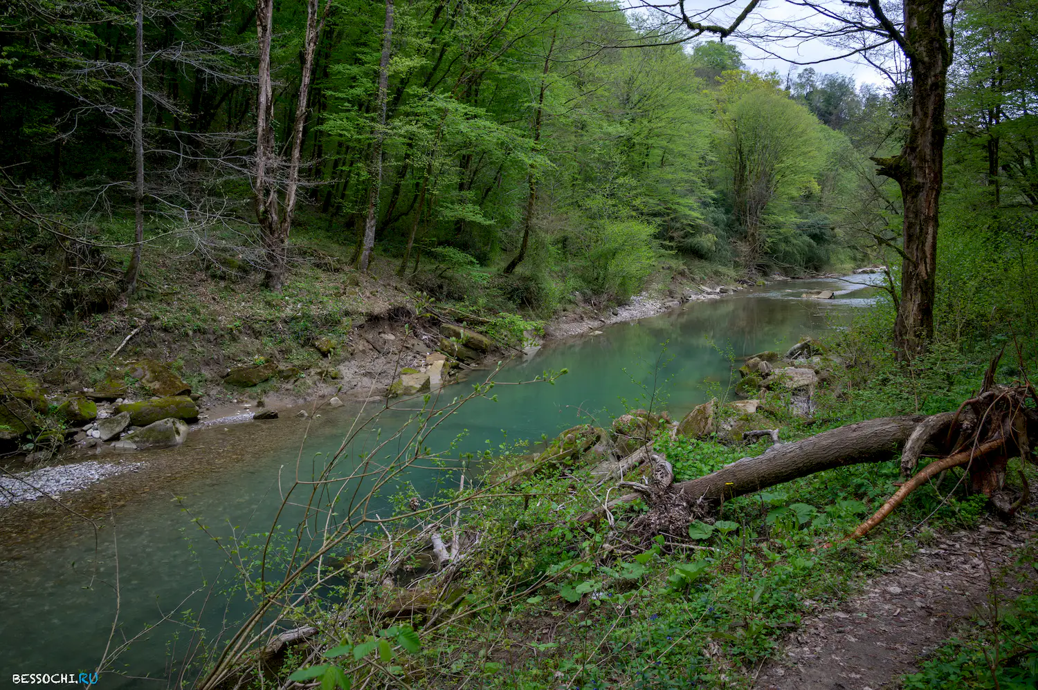 река Кудепста