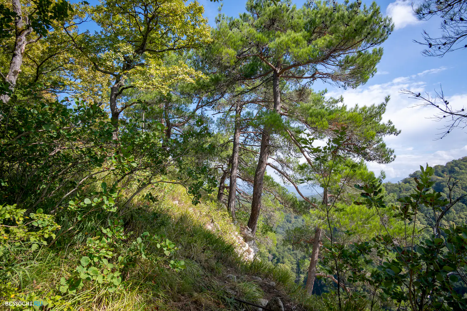 Орлиные скалы