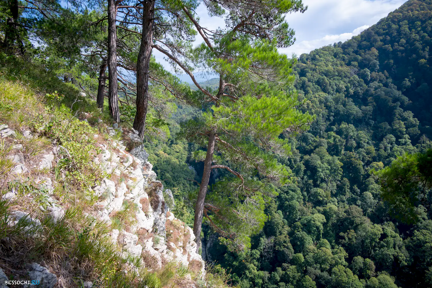 Орлиные скалы