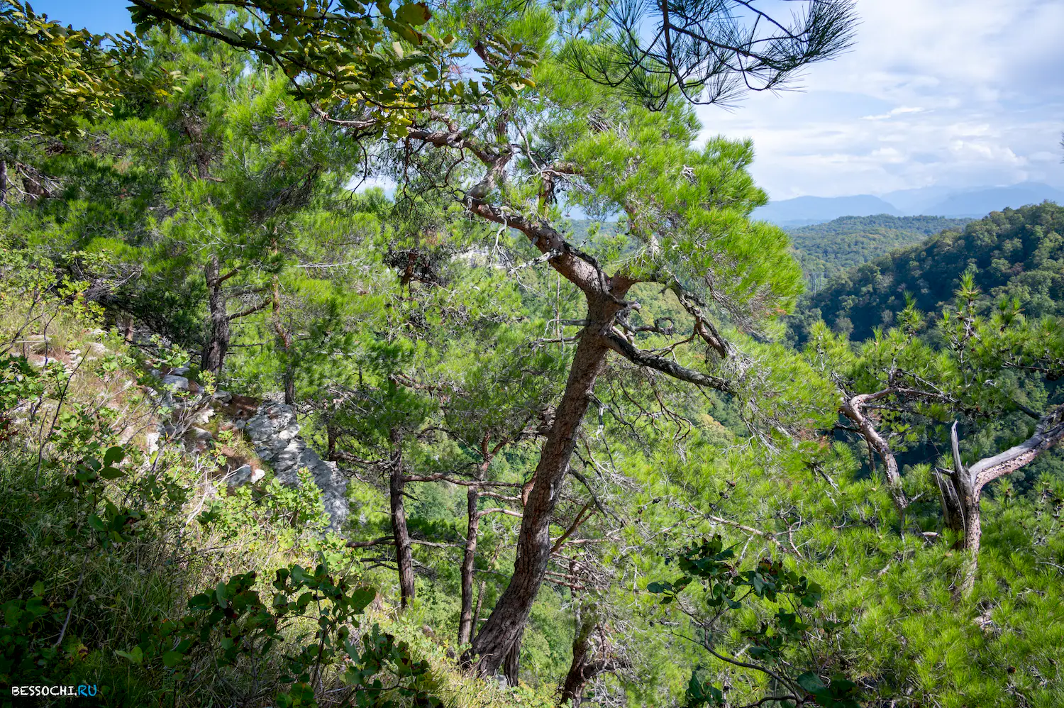 Орлиные скалы