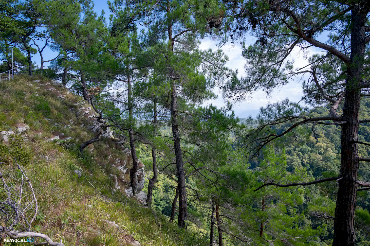 Орлиные скалы