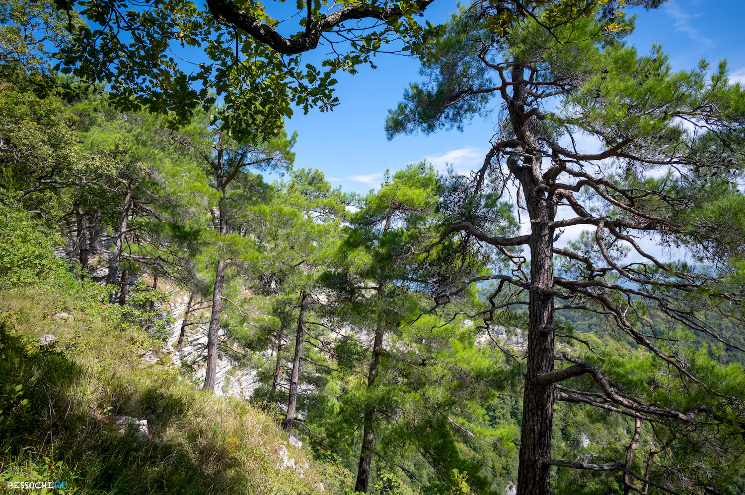 Орлиные скалы