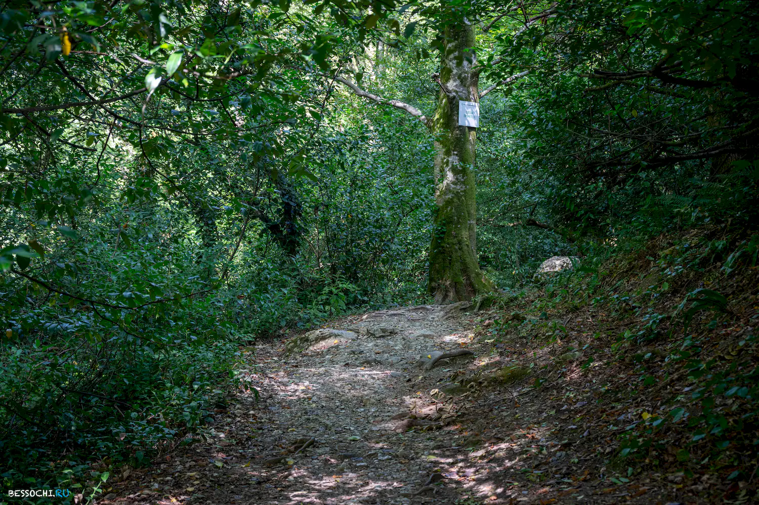 Агурский водопад