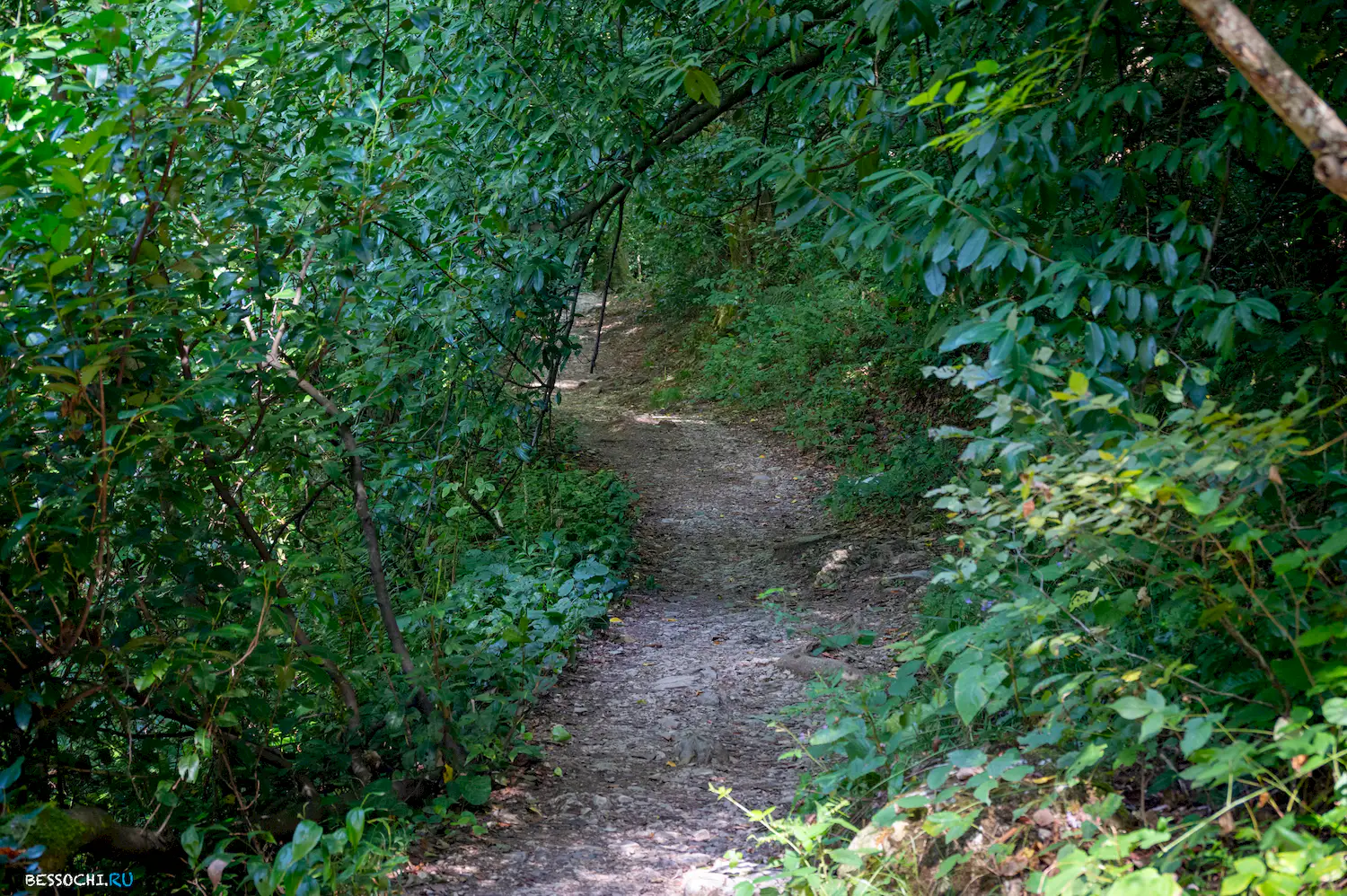 Агурский водопад