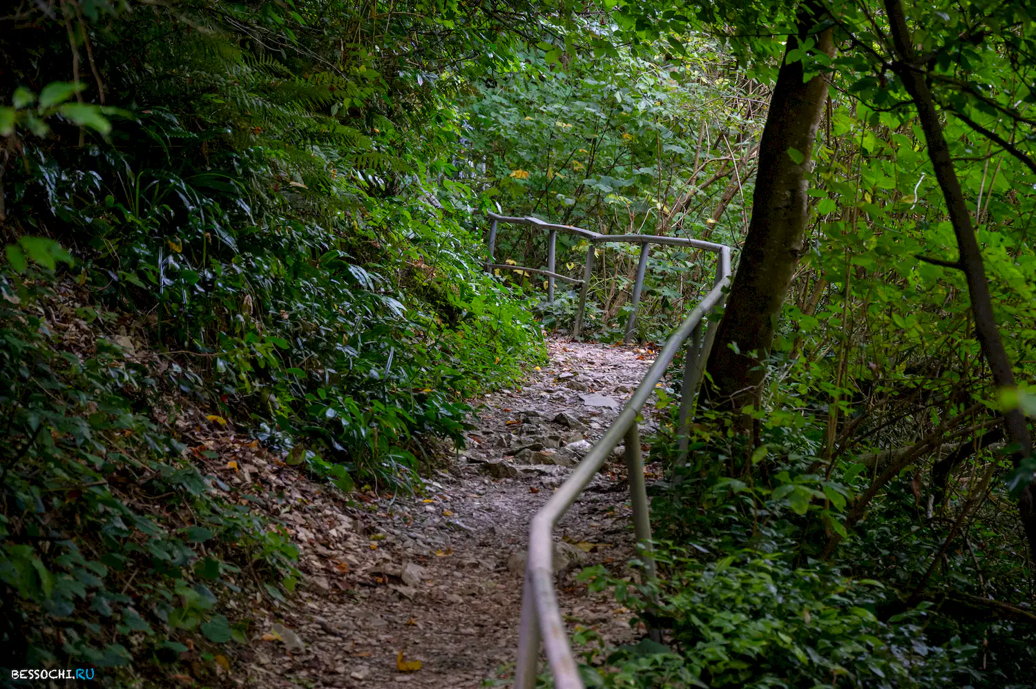 Агурский водопад