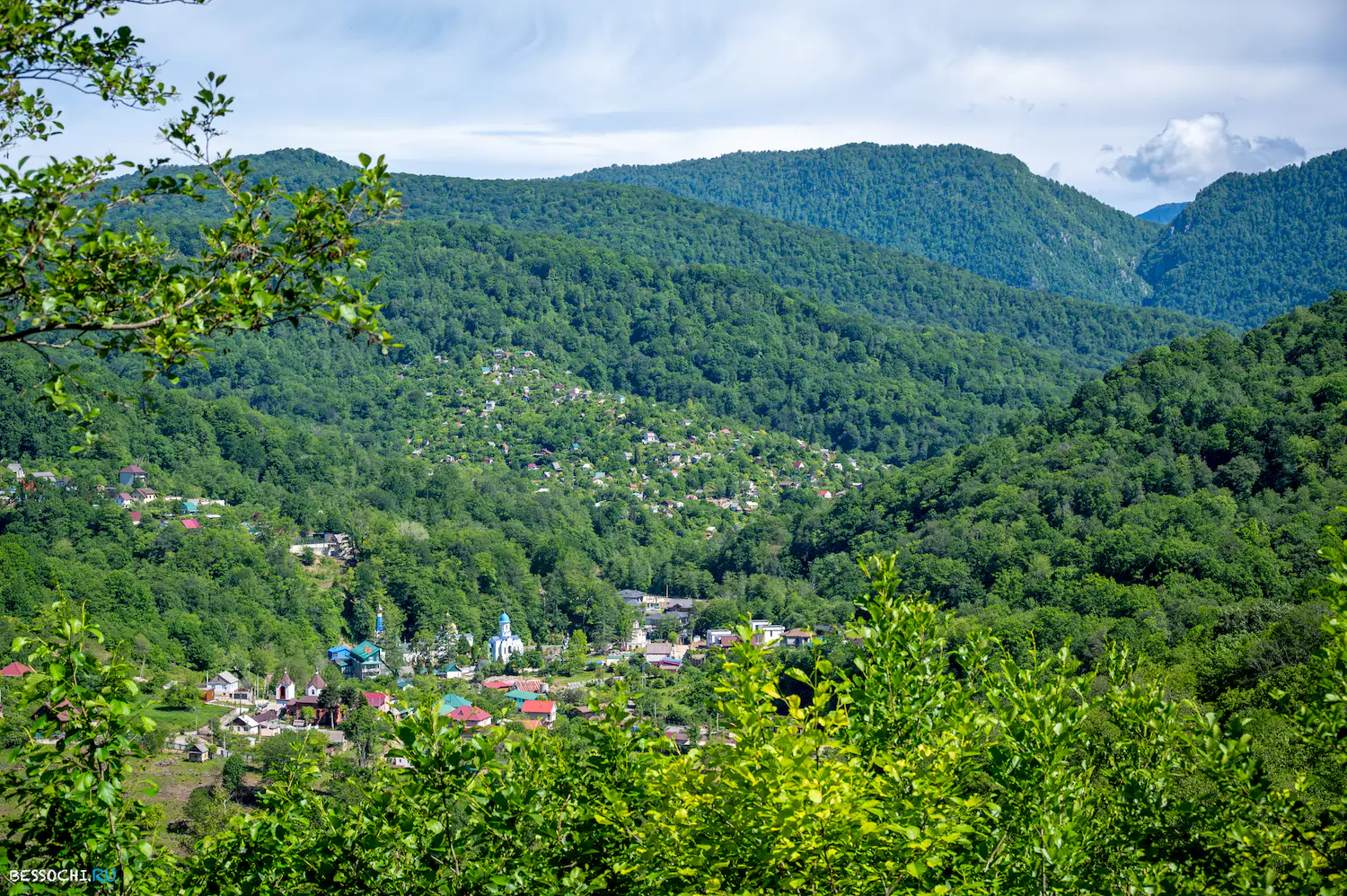 Лесное